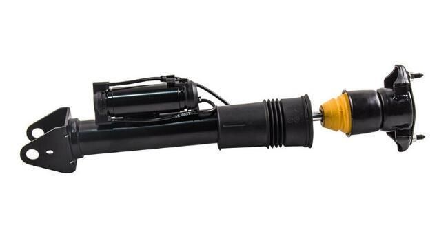 W251 Rear Air Suspension Shock Strut with Ads 2513201931