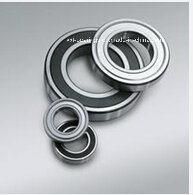 Factory Direct High Quality 6005 Deep Groove Ball Bearing Z1009