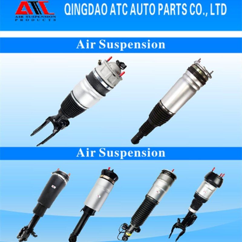 Chinese Manufacturer Offer Suspension VW Touareg Front Air Suspension Struts