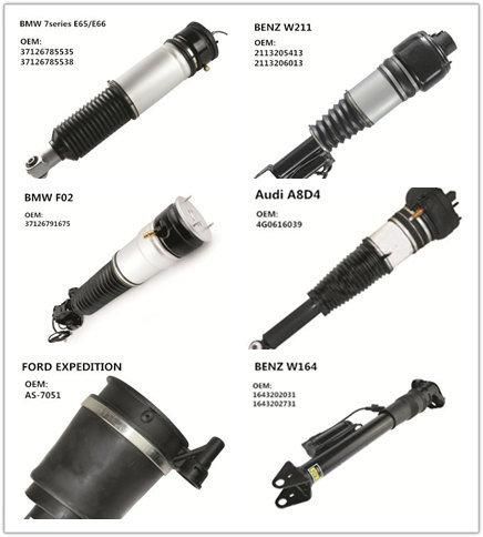 Mercedes Benz S Class W220 2matic Front Air Suspension 2203202438 2203205113