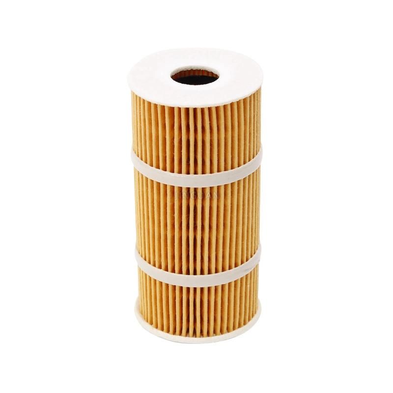 Spare Engine Accessories Parts Eco Oil Filter 6221800009 OEM / 4207841 / 71754237 / 55224598