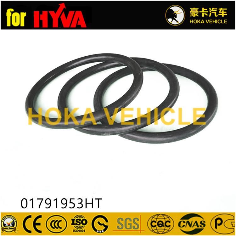 Truck Spare Parts Oil Seal 01791953ht for Dump Truck Hoist System