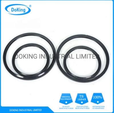 Direct Factory OEM/Standard Viton O-Ring