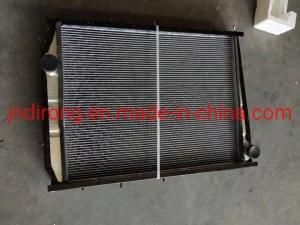 Chinese Heavy Truck Dz9112539267 Radiator Sinotruk HOWO Auto Spare Parts