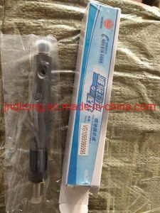 Chinese Heavy Truck Vg1095080095 Injector Sinotruk HOWO Auto Spare Parts