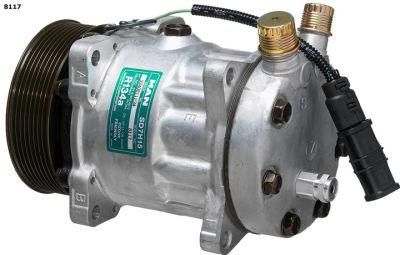 Auto AC Air Compressor for Man (7H15-8117)