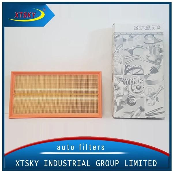 VW/Audi Auto Air Filter 1j0129620 for Car Factory Supply