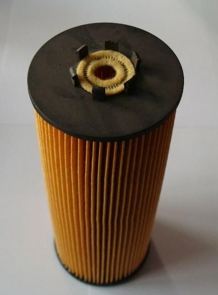 Good Quality From Filong Manufacturer Oil Element Filter for Foh-1010 079115561b Hu835/1z Ox358d E355h01d109