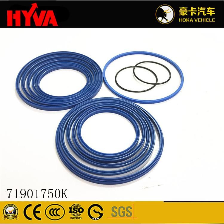 Original and High-Quality Hyva Spare Parts Seal Kit for 191-5 71901750K