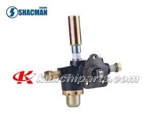 Weichai Wd618 612600080353 Pump