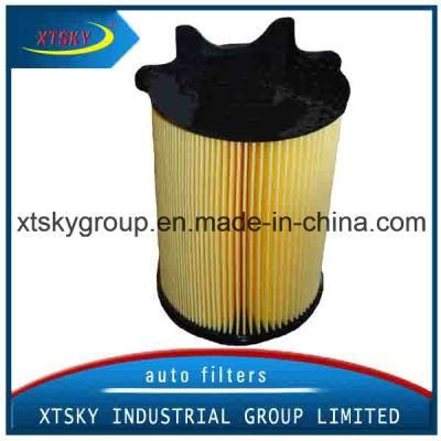 1f0129620/High Performance HEPA Air Filter (1F0129620) for Auto Engine