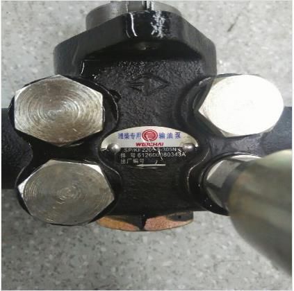 Weichai Wd12 Engine Parts Oil Delivery Pump Repair Part 612600080343A