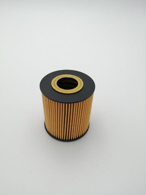 Hu818X Ox156D E15HD59 Car Oil Filter