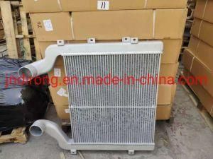 Sinotruk Intercooler Wg9525530003 Sinotruk Shacman Foton FAW Truck Spare Parts