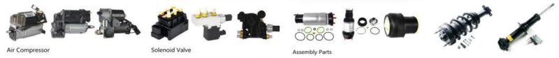 New Airmatic Air Suspension Shock Absorber for Volve Xc90 31451833