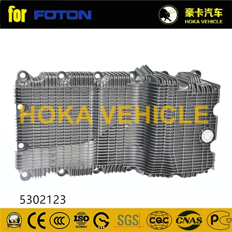 Original Heavy Duty Truck Parts Fuel Sump Assy. 5302123 for Foton Truck