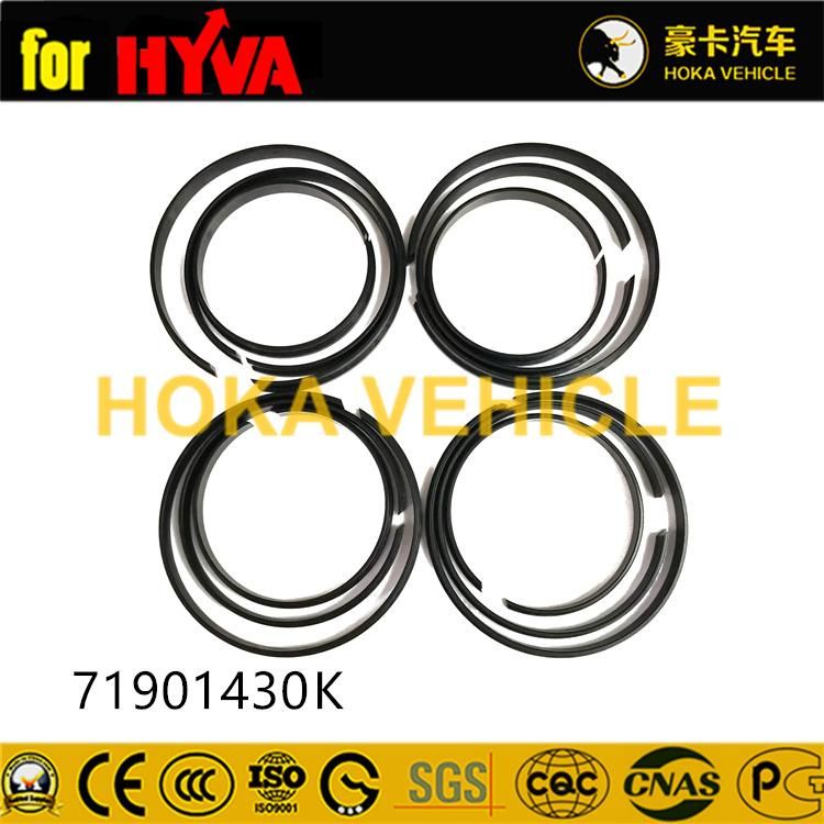 Truck Spare Parts Seal Kit 71901430K for Dump Truck Hyva Hoist System