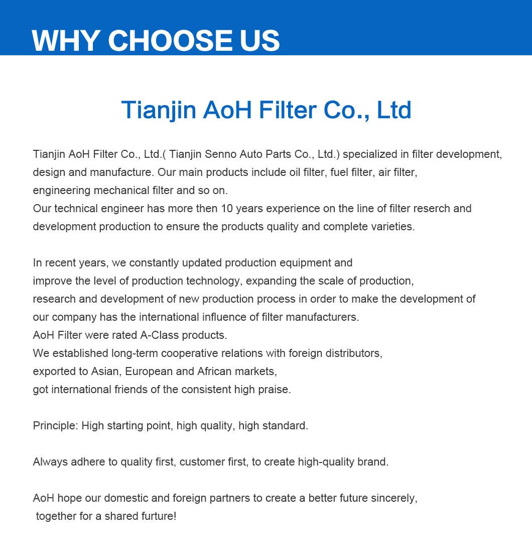 Filter/Air Filter/Oil Filter/Fuel Filter/Engineering Mechanical Filter/Auto Parts