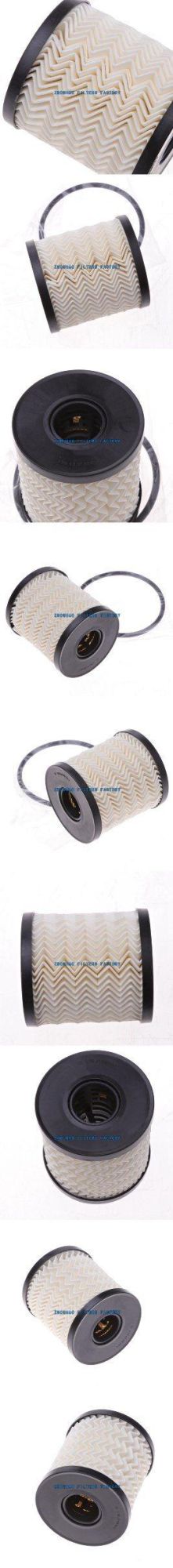 Auto Parts Filter Element Car Parts Fuel Filter 11427557012 for Land Rover Peugeot Citroen