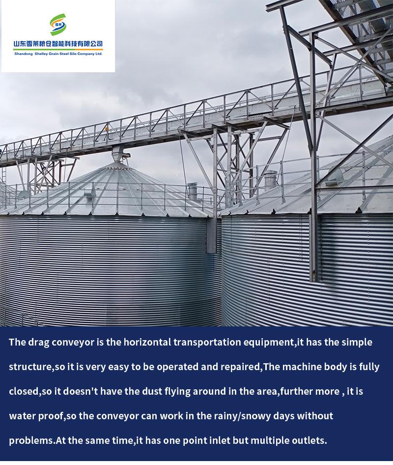 Complete Style Drag Chain Conveyor for Grain Silos Transporting