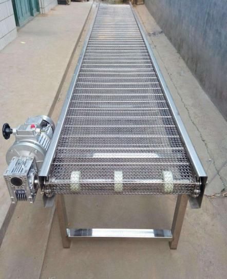 Modular Mesh Belt Conveyor for Transporting Goods