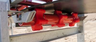 The Beater Roller for Conveyor System