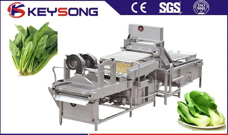 Air Bubble Fruit Vegetable Washing Machine