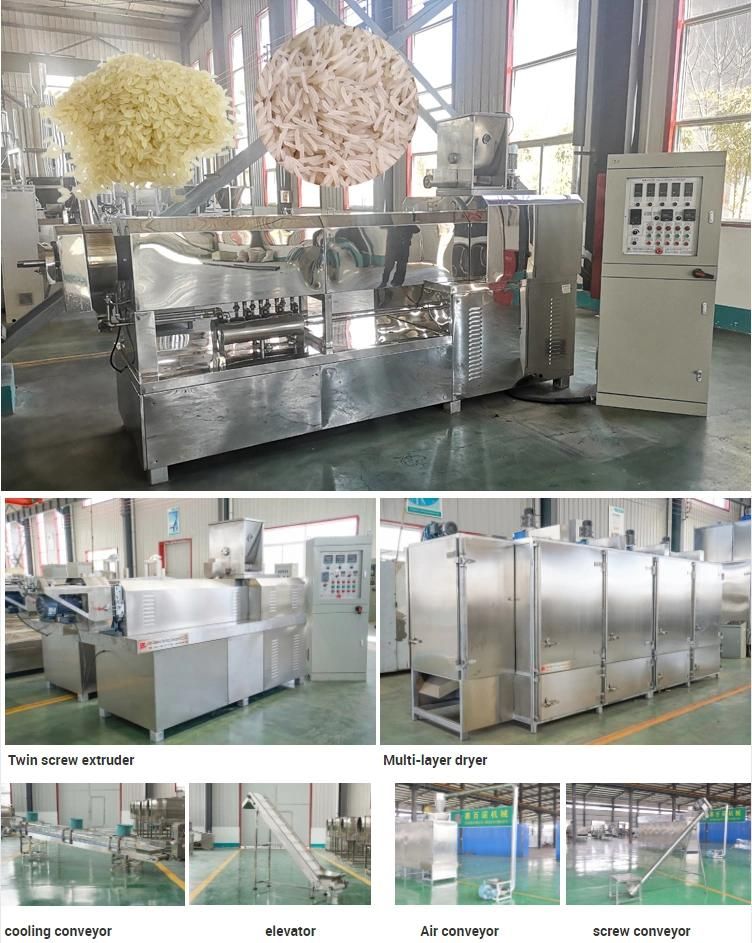 Reinforced Extruded Fortified Artificial Golden Nutrition Rice Making Machine