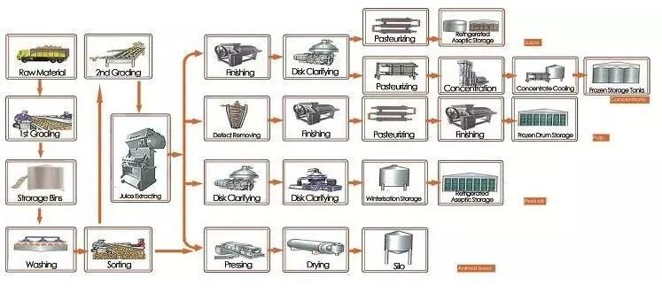 Orange NFC Juice Production Line/Apple Juice Processing Plant/Mango Juice Making Equipment/ Lemon Juice Processing Line