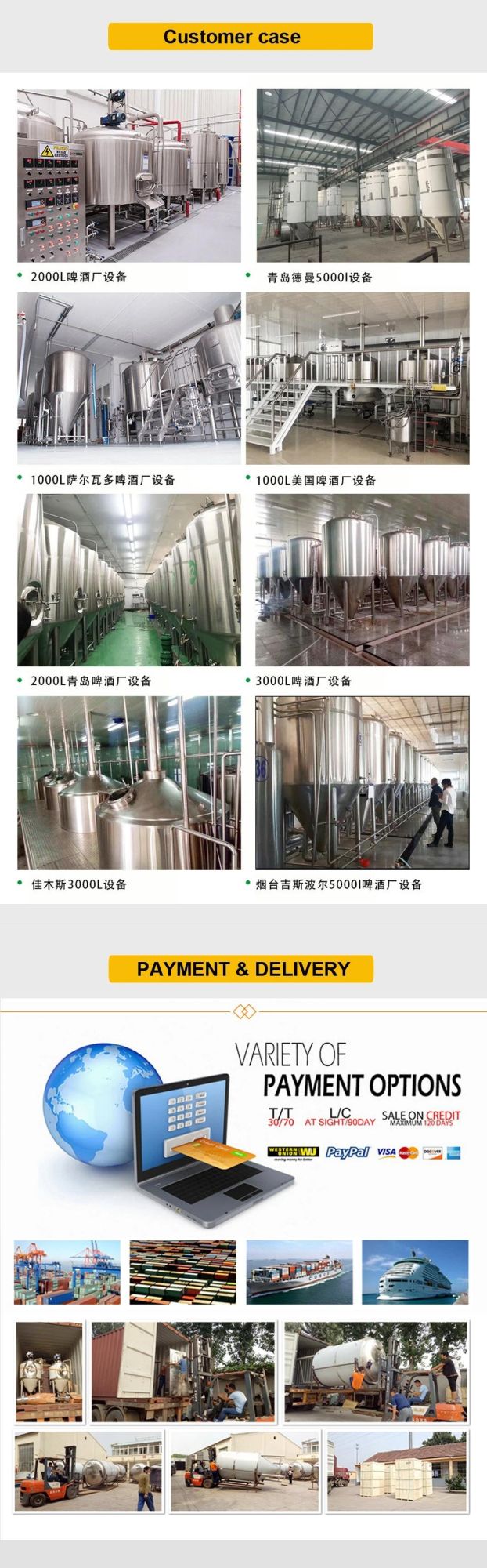 China Manufacture 300L 10bbl 15bbl Beer Brewery System