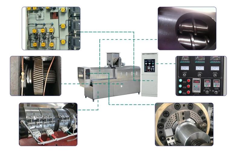 Automatic Fish Feed Extruder for Pet Food Processing