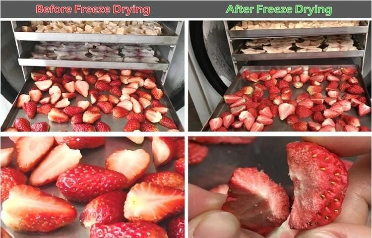 Dried Fruit Freeze Dryer Machine Fruit Vacuum Lyophilizer