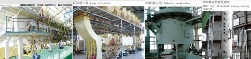 Edible Oil Extraction Mill Machine, Oils Fats Processing Turnkey Plant Professional Supplier