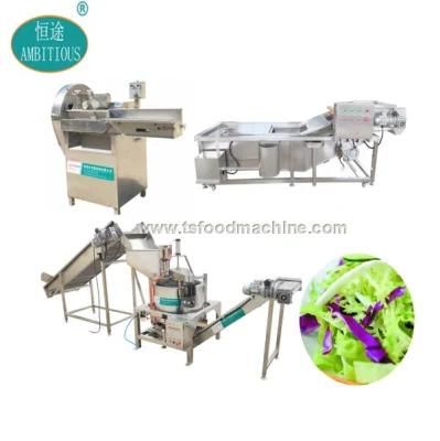 Automatic Vegetable Lettuce Cabbage Washer Drying Machine Salad Line