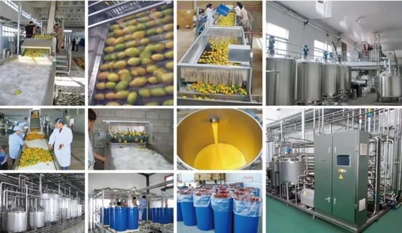 China Full Automatic Juice Production Line Turnkey Project