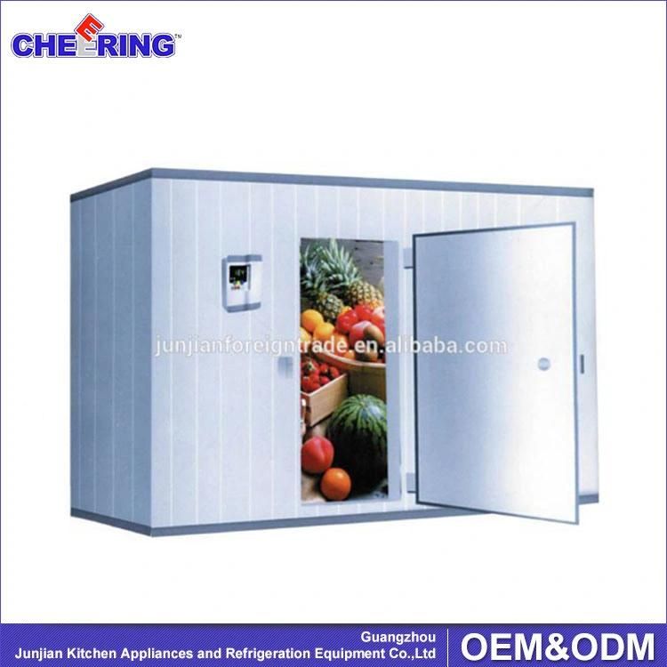 Cold Storage Room in Commmercial Refrigerator Freezer