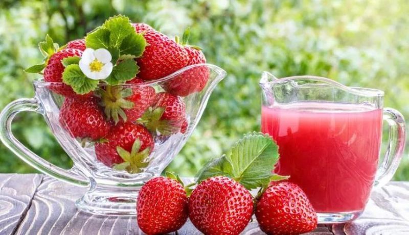 Strawberry Juice Extractor Machine