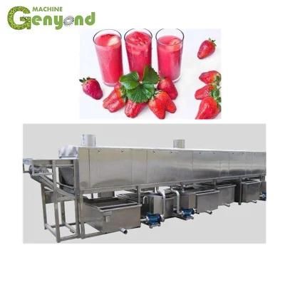 Strawberry Juice Manufacturing Equipment