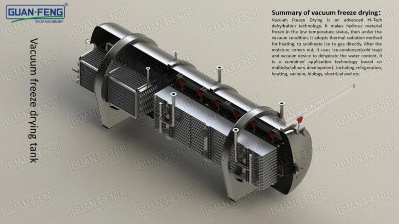 Crispy Cherry Machine Fruits Freeze Dryer China Lyophilizer