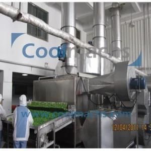 Stainless Steel Vegetables Drying Machine/Belt Dryer