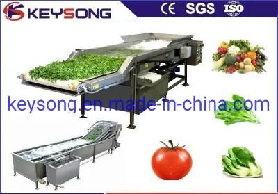 High Yield Fruit Vegetable Processing Line Washing Machinery