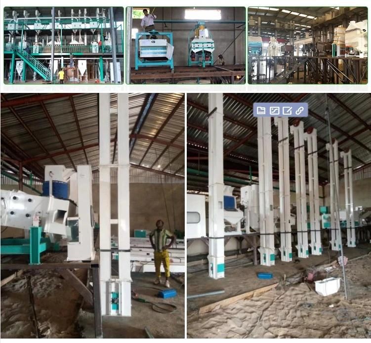 50 Tons Maize Grinding Flour Mill Prices Corn Machine Farm Maize Milling