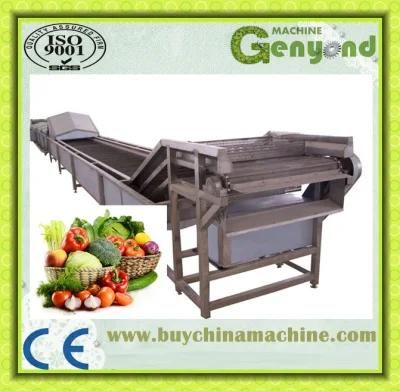 Green Vegetables Washing &amp; Blanching Processing Line