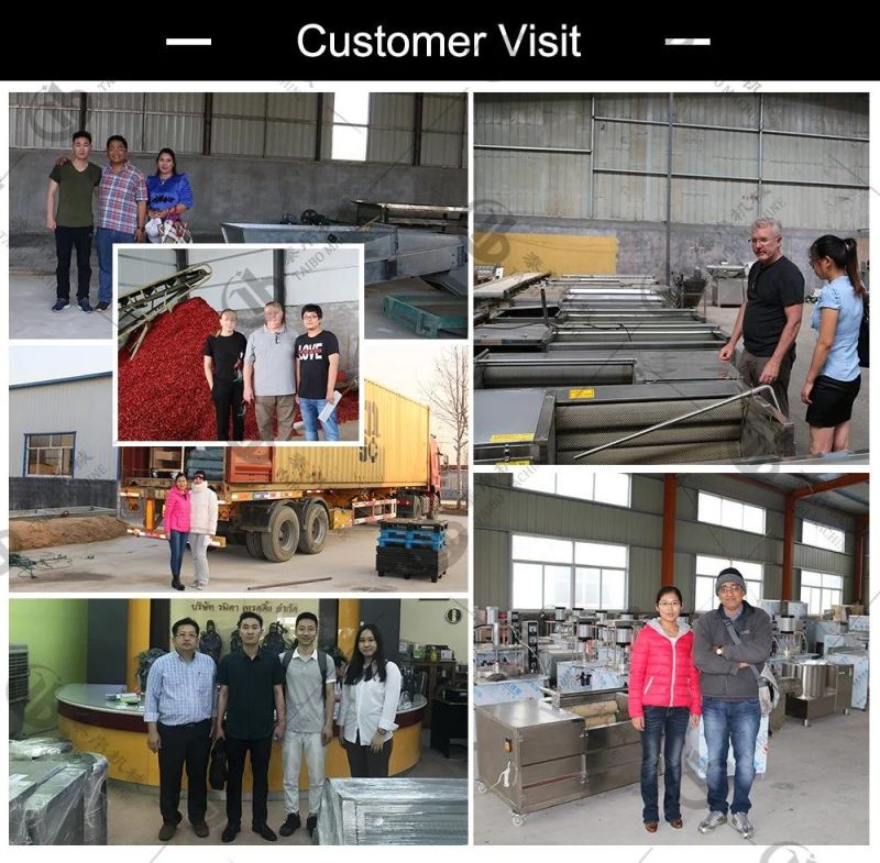 Apple Cassava Orange Washing Waxing Grading Line for Factory