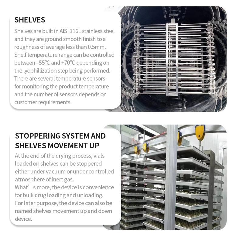 Banan Slice Vacuum Freeze Dryer