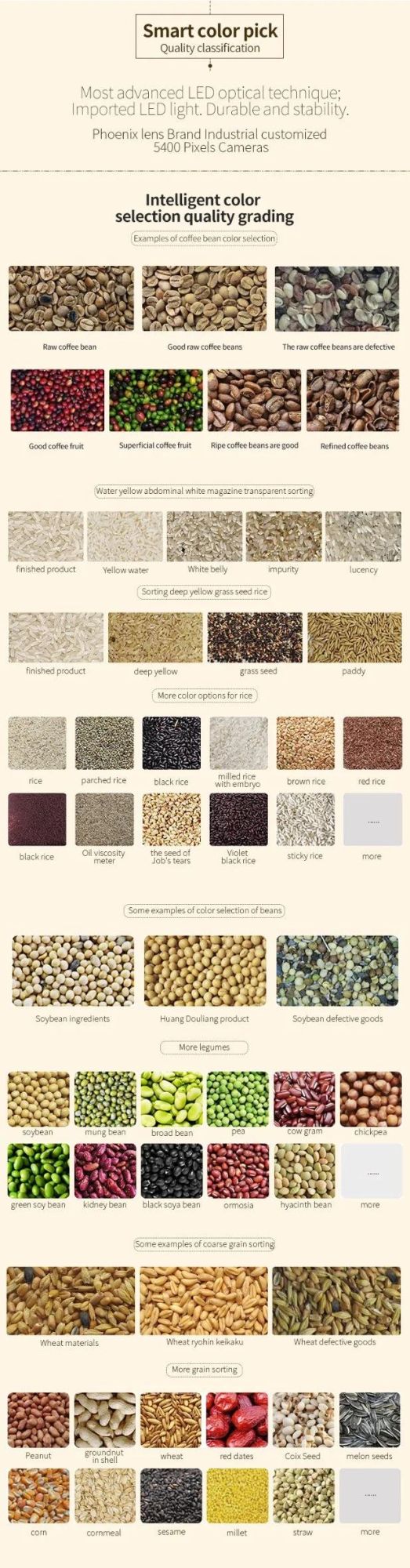 High Efficient Grain Color Sorter Machine Sorting Machine