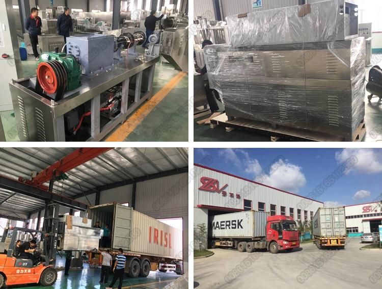 Saibainuo Extrusion Technology of Bread Crumb Making Machine