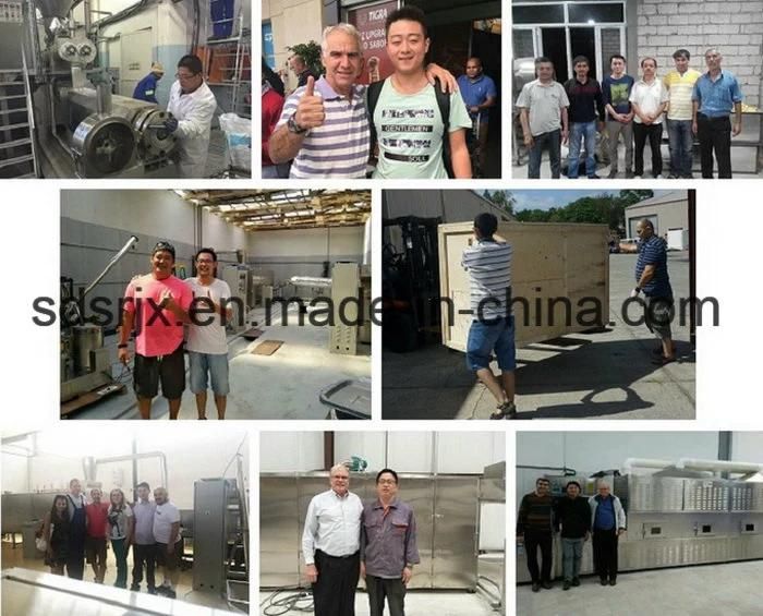 Water Cooling Stainless Steel Twin-Screw Reconstituted Rice Making Machine