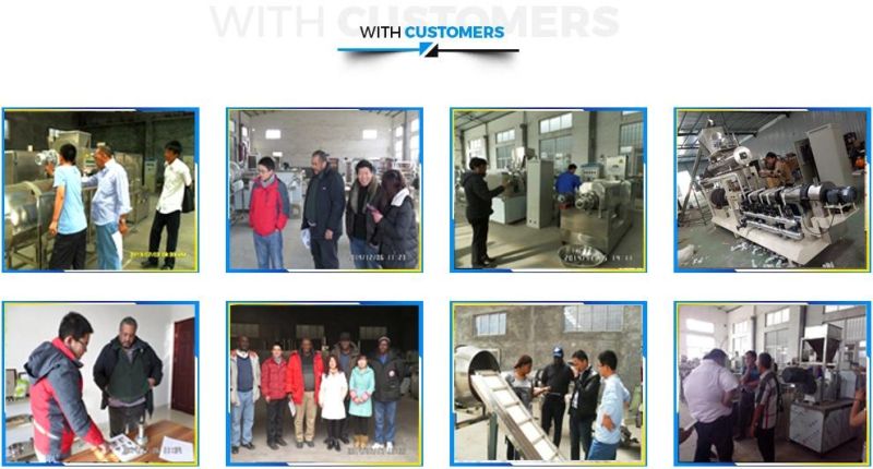 High Efficiency Fish Food Pellet Making Equipment