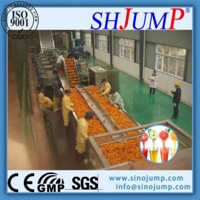 Pure Automatic Orange Fruit Juice Production Line